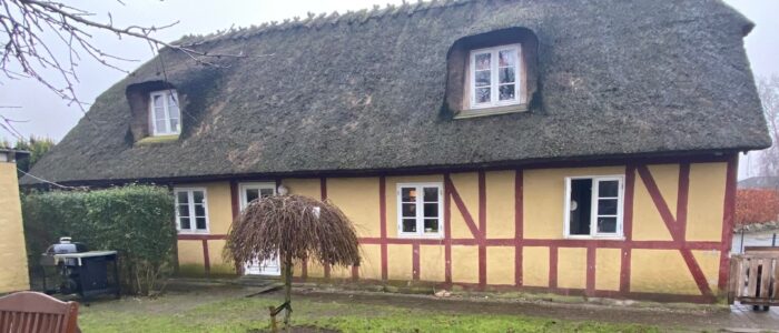 1B909A6F-D673-4FF6-80F3-FF4DBBDC1E79-700x300 Velkommen til Fyns Bolig